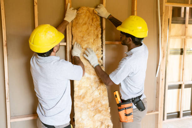 Best Insulation Air Sealing  in South Milwaukee, WI